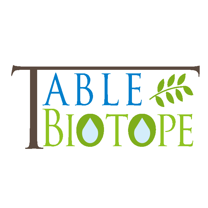 Table Biotope テーブルビオトープ アクアテラリウム 完成品 オンライン販売を開始します Aquaart アクア アート